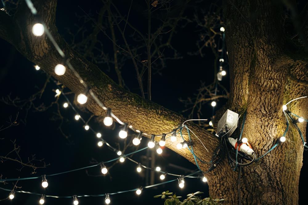 Обматываем дерево гирляндой-нитью правильно