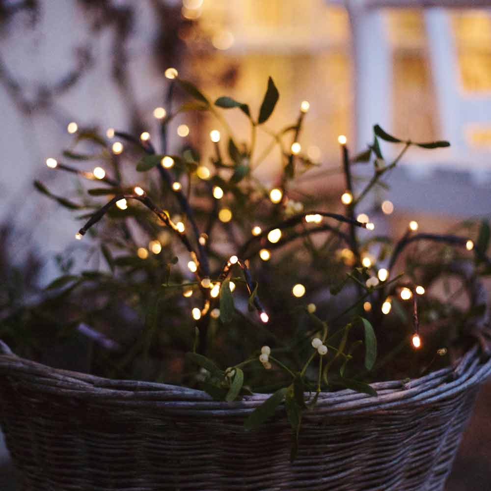 Гирлянды ландшафт